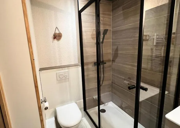 La Traverse - Bel Duplex Proche Du Centre Station Mae-4574 * La Plagne